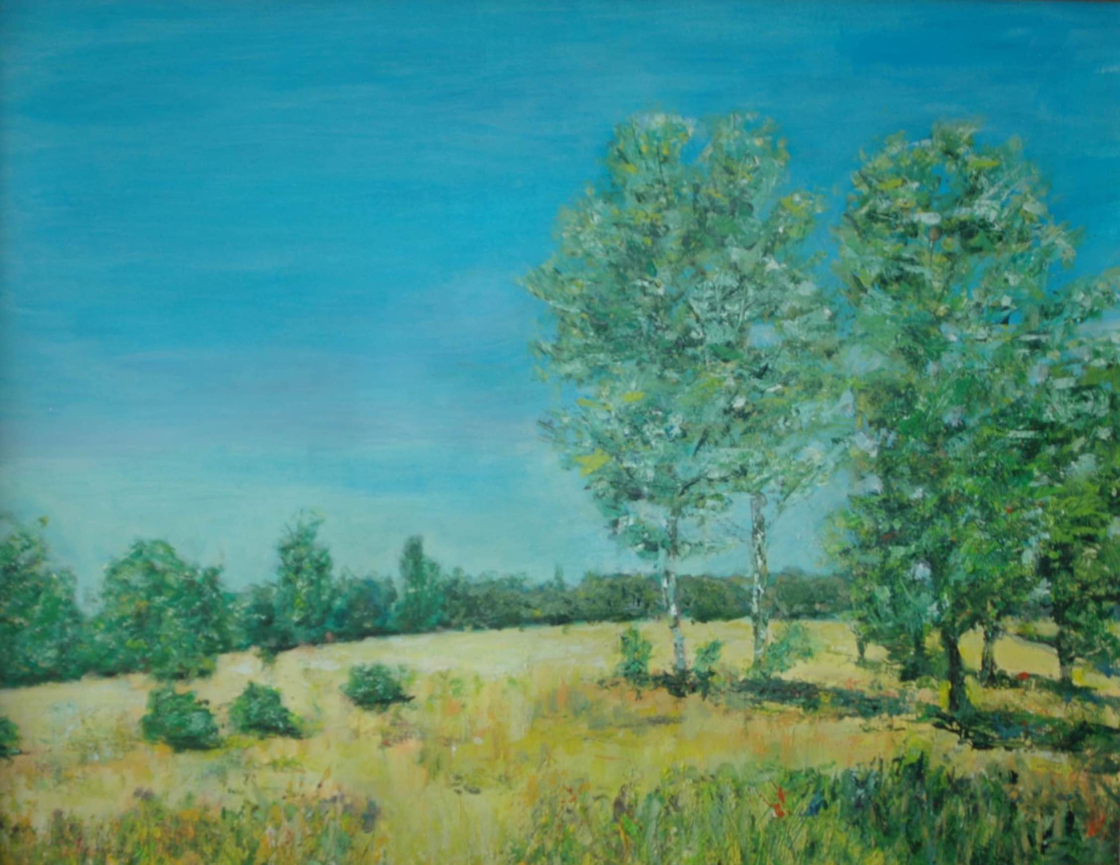 Joop van Zeeland-Edese Heide-acryl