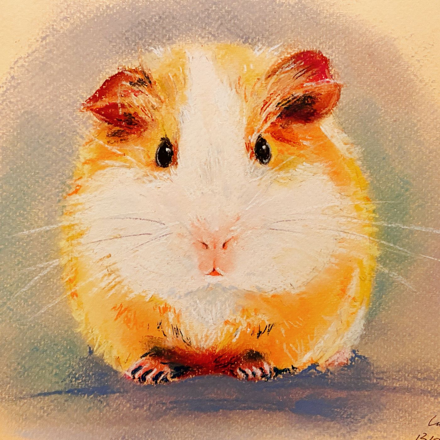 Lu Zhang-Guinea Pig-soft pastel