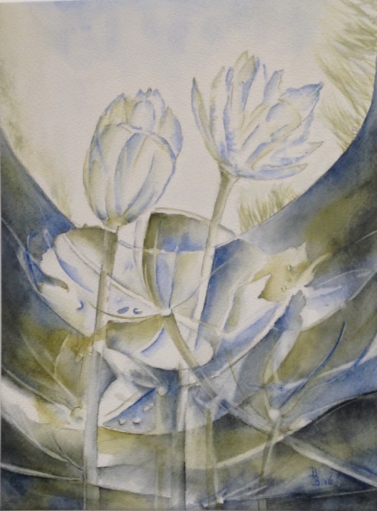 Bep Buijink-Waterlelie-aquarel