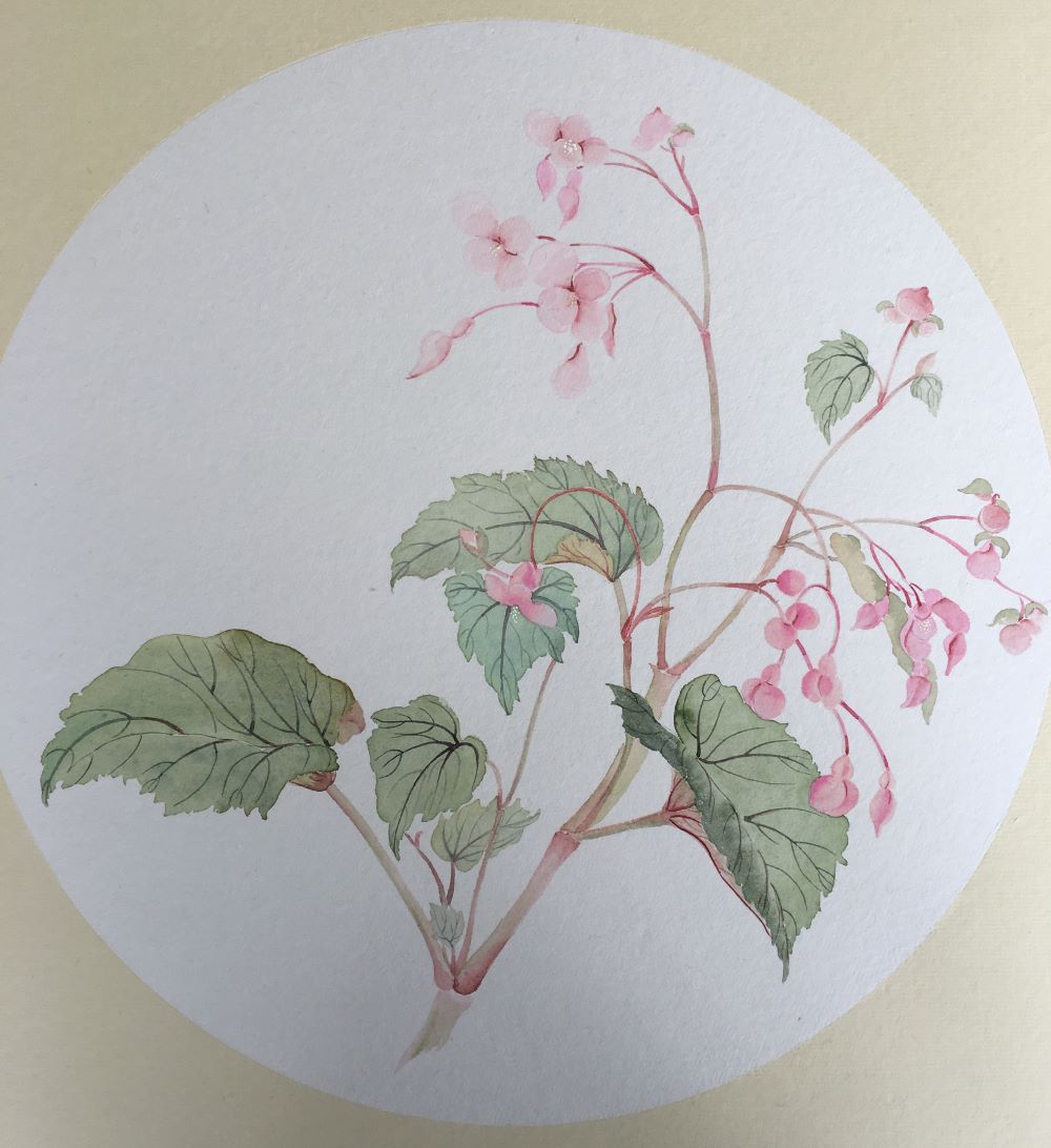 Qing Sun-Begonia-Chinees penseel schilderen op rijstpapier