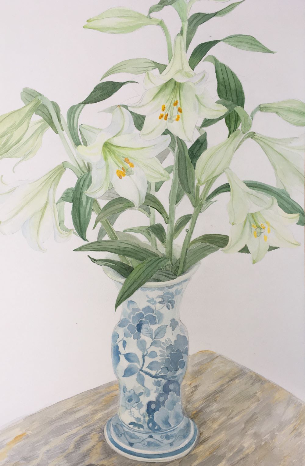 Qing Sun-Witte lelie-aquarel